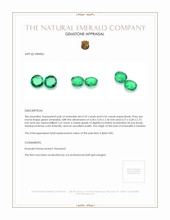 0.66 Ct.Tw.Total Carat Weight Emerald Pair from Zambia Appraisal