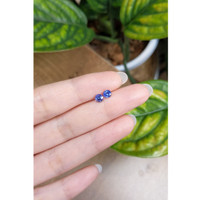 0.90&nbsp;Ct.Tw.Total Carat Weight Blue Sapphire Pair from Ceylon (Sri Lanka) Life Style