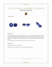 1.29 Ct.Tw.Total Carat Weight Blue Sapphire Pair from Ceylon (Sri Lanka) Appraisal