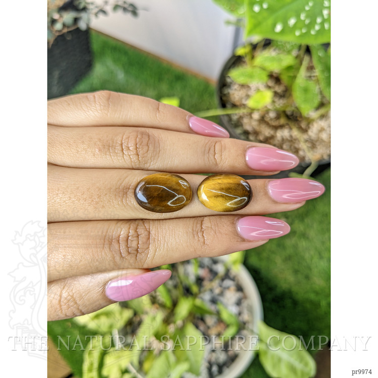 15.54 Ct.Tw. Cabochon Tiger's Eye Pair from South Africa