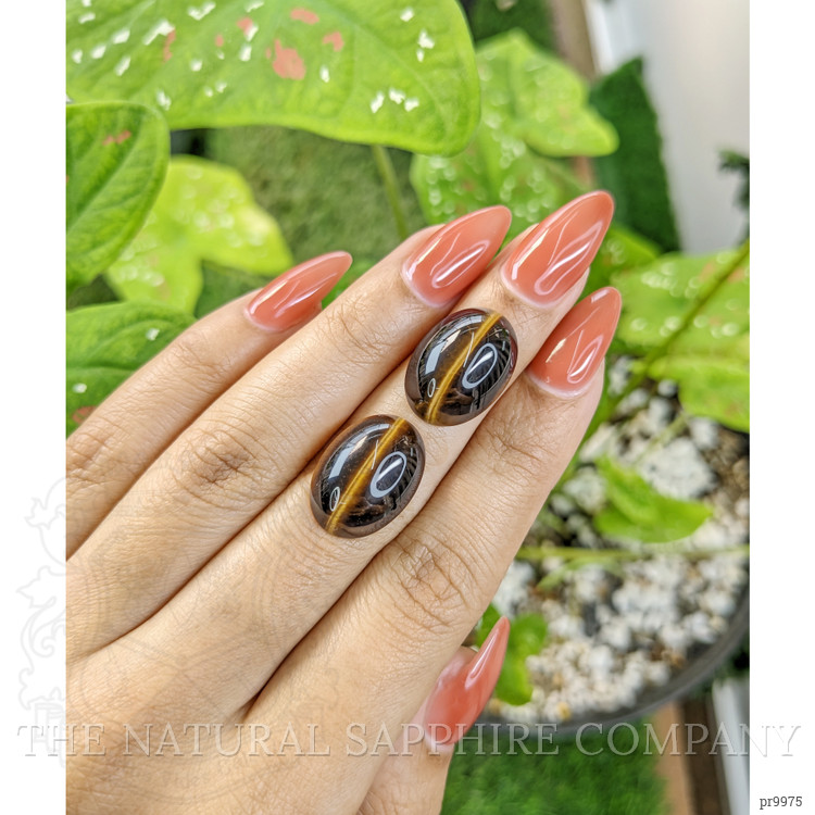 19.47 Ct.Tw. Cabochon Tiger's Eye Pair from South Africa