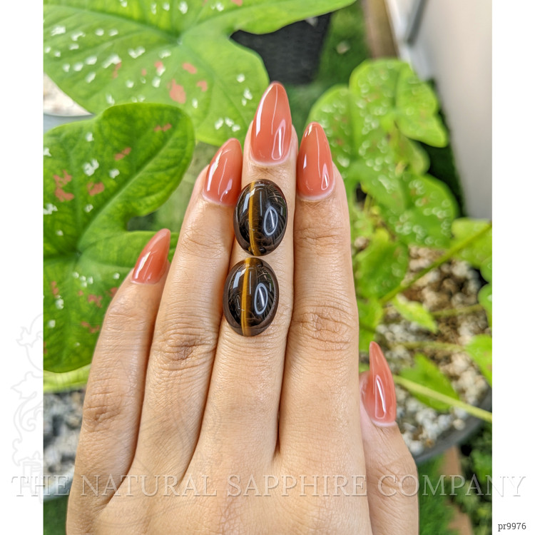 20.67 Ct.Tw. Cabochon Tiger's Eye Pair from South Africa