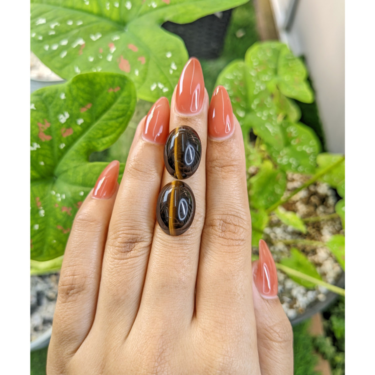 20.67 Ct.Tw. Cabochon Tiger's Eye Pair from South Africa