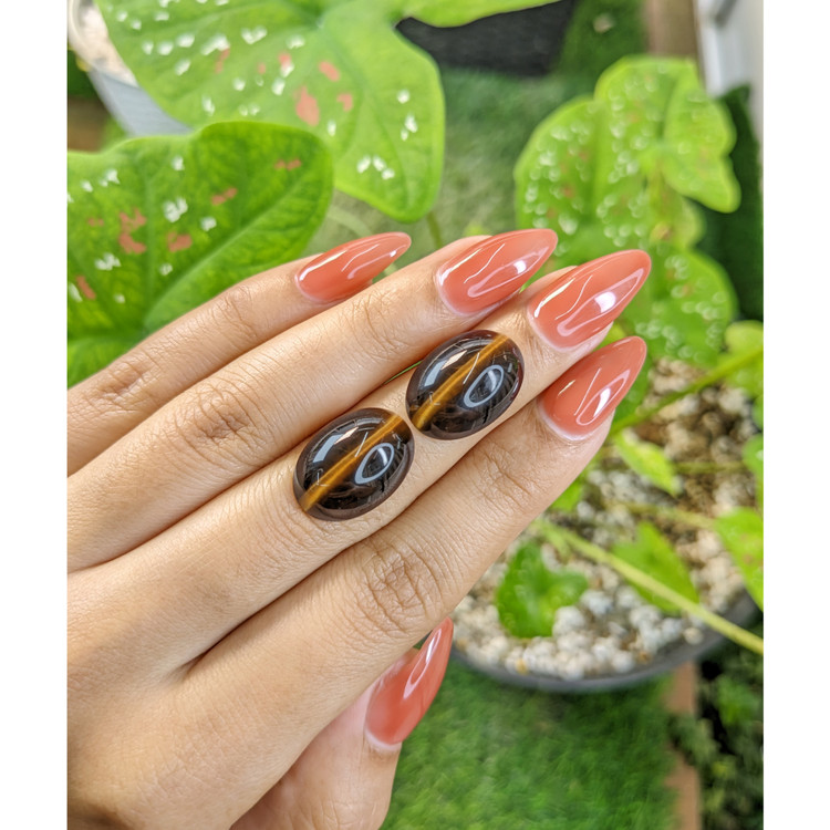 20.67 Ct.Tw. Cabochon Tiger's Eye Pair from South Africa