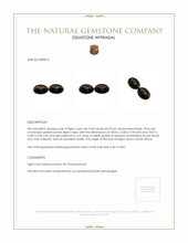 19.24 Ct.Tw.Total Carat Weight Cabochon Tiger's Eye Pair from South Africa Appraisal