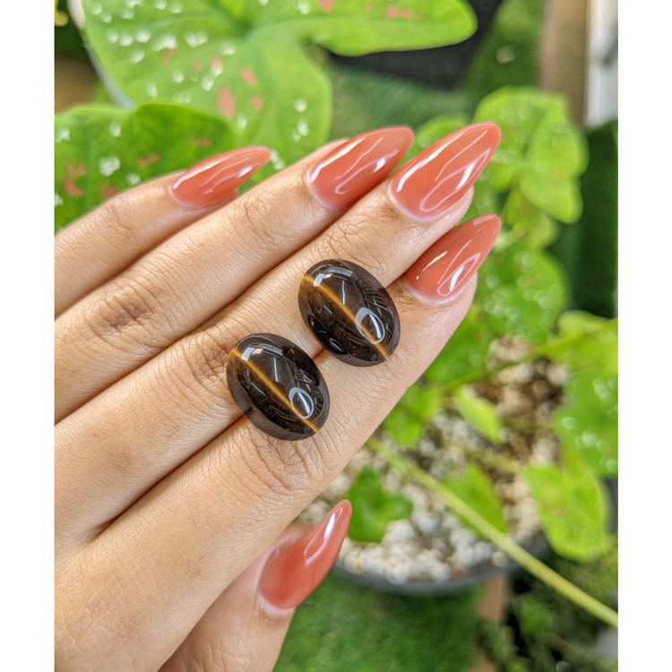 19.24 Ct.Tw. Cabochon Tiger's Eye Pair from South Africa