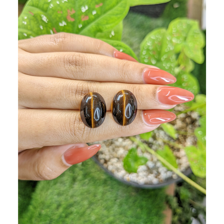 19.24 Ct.Tw. Cabochon Tiger's Eye Pair from South Africa