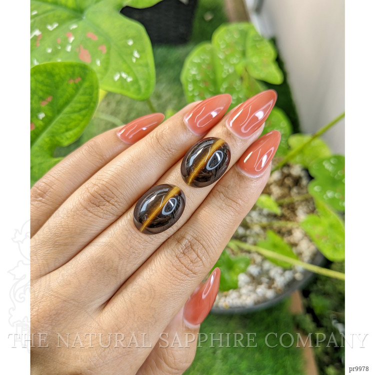 21.34 Ct.Tw. Cabochon Tiger's Eye Pair from South Africa