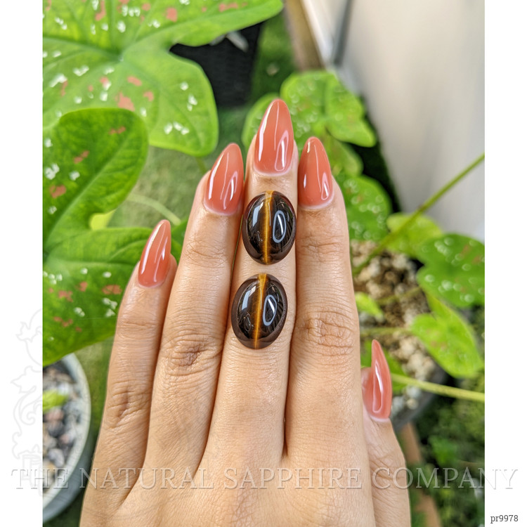 21.34 Ct.Tw. Cabochon Tiger's Eye Pair from South Africa