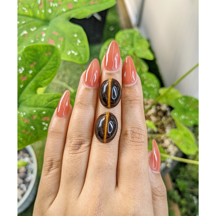 21.34 Ct.Tw. Cabochon Tiger's Eye Pair from South Africa