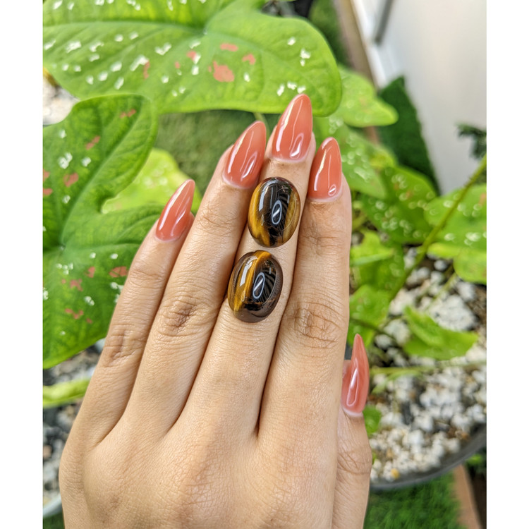 31.22 Ct.Tw. Cabochon Tiger's Eye Pair from South Africa