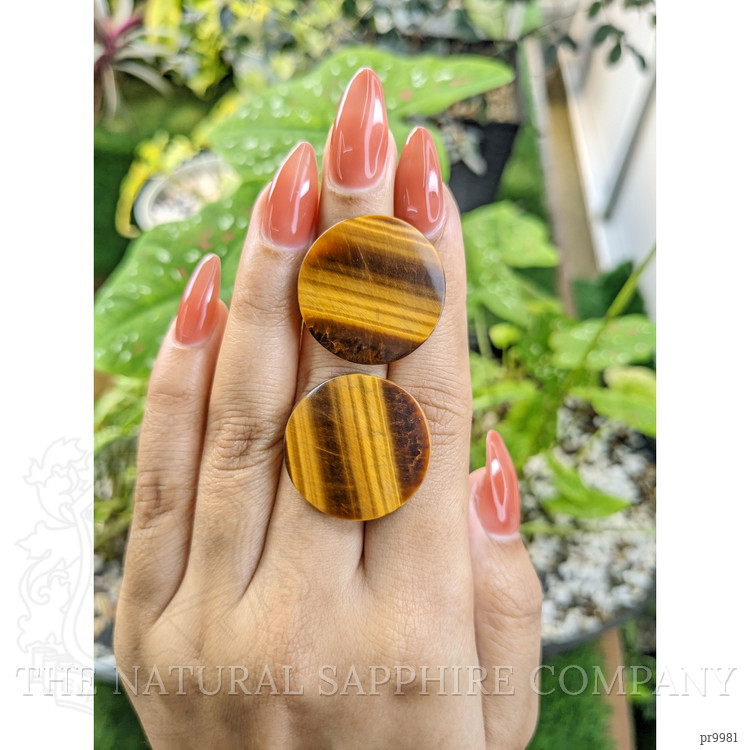 27.11 Ct.Tw. Tiger's Eye Pair from South Africa