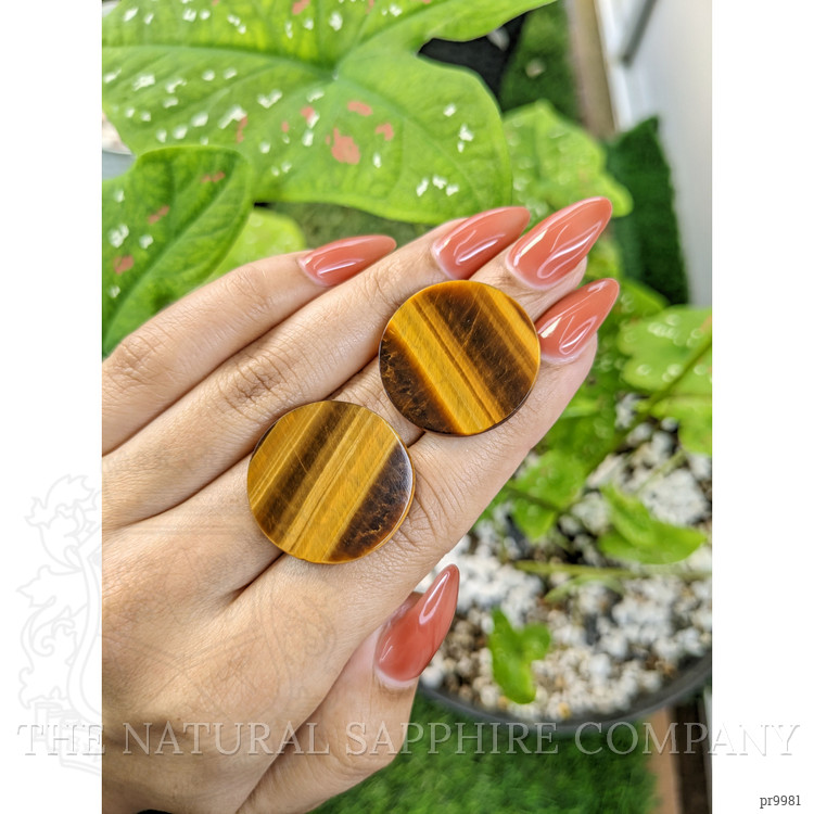 27.11 Ct.Tw. Tiger's Eye Pair from South Africa