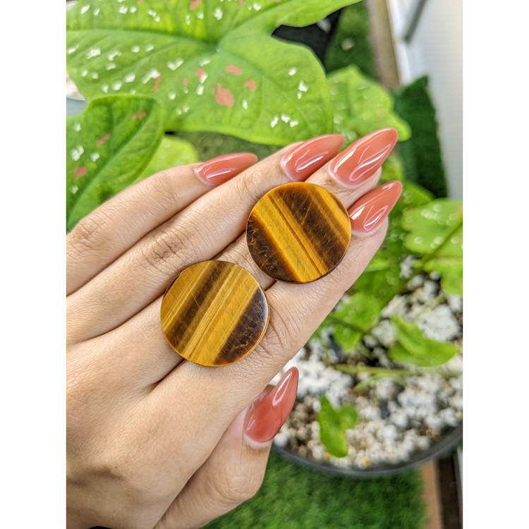 27.11 Ct.Tw. Tiger's Eye Pair from South Africa