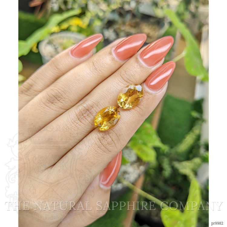 9.82 Ct.Tw. Citrine Pair from Brazil