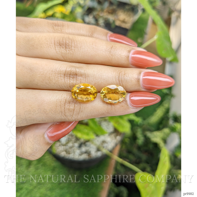 9.82 Ct.Tw. Citrine Pair from Brazil