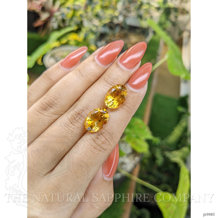 10.70 Ct.Tw. Citrine Pair from Brazil