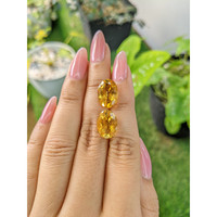 10.70 Ct.Tw.Total Carat Weight Citrine Pair from Brazil Life Style