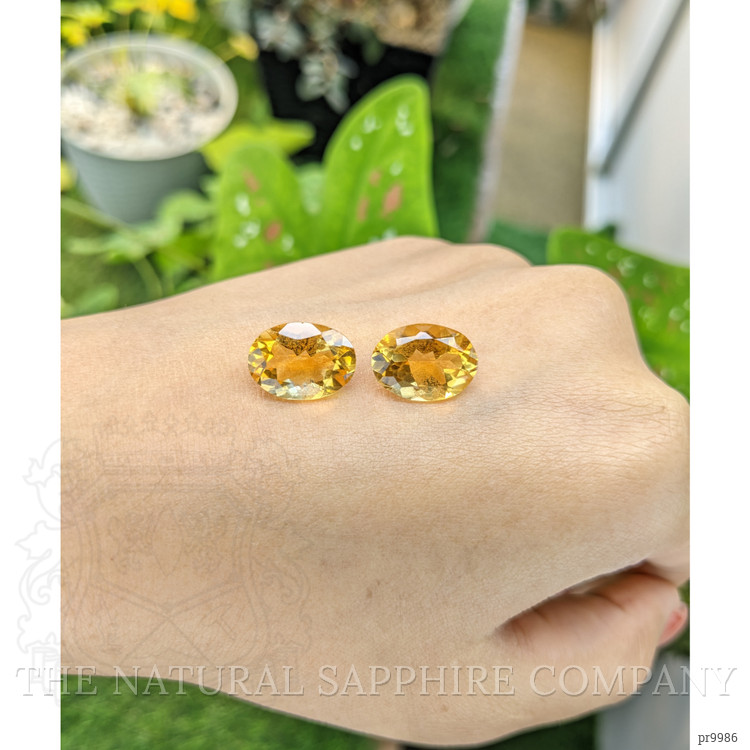 10.09 Ct.Tw. Citrine Pair from Brazil