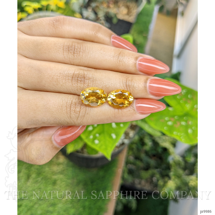 10.09 Ct.Tw. Citrine Pair from Brazil