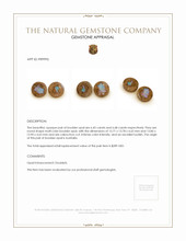 13.13 Ct.Tw.Total Carat Weight Cabochon Boulder Opal Pair from Australia Appraisal