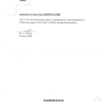 Jewelry Scan Report