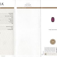 Jewelry Scan Report