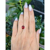 2.00 Ct. Ruby from Mozambique Life Style