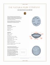 Jewelry 3 D Scan Report