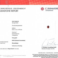 Jewelry Scan Report