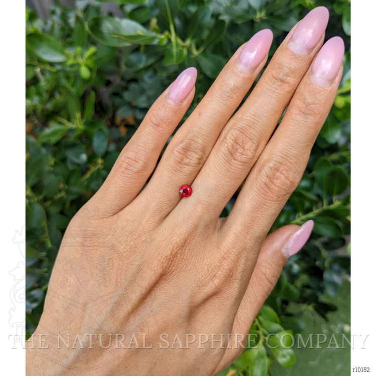 0.62 Ct. Ruby from Mozambique