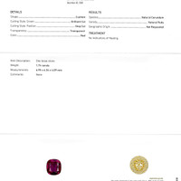 Jewelry Scan Report