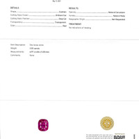 Jewelry Scan Report