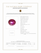 Jewelry Scan Report