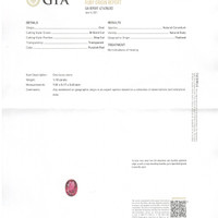 Jewelry Scan Report