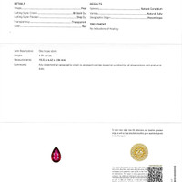 Jewelry Scan Report
