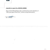 Jewelry Scan Report
