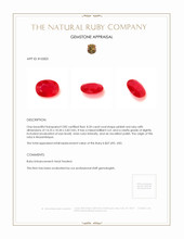 8.20 Ct. Ruby from Mozambique Appraisal