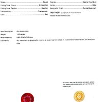 3.02 Ct. Ruby from Burma (Myanmar) Scan Report