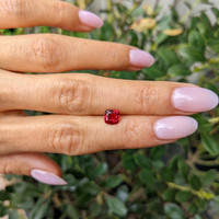 1.37 Ct. Ruby from Mozambique Life Style