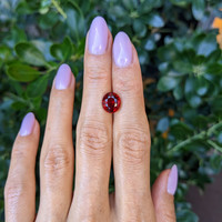 4.04 Ct. Ruby from Mozambique Life Style