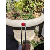 4.09 Ct. Ruby from Burma (Myanmar) Life Style
