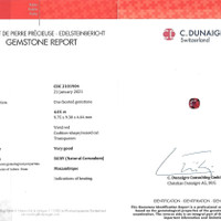 Jewelry Scan Report