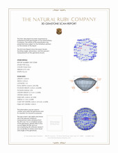 Jewelry 3 D Scan Report