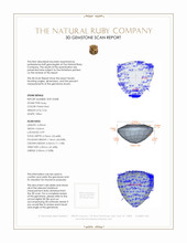 Jewelry 3 D Scan Report