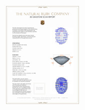 Jewelry 3 D Scan Report