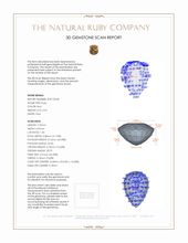 Jewelry 3 D Scan Report