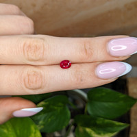 0.99 Ct. Pinkish Red Ruby from Burma (Myanmar) Life Style