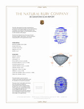 Jewelry 3 D Scan Report