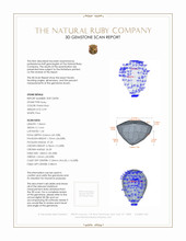 Jewelry 3 D Scan Report